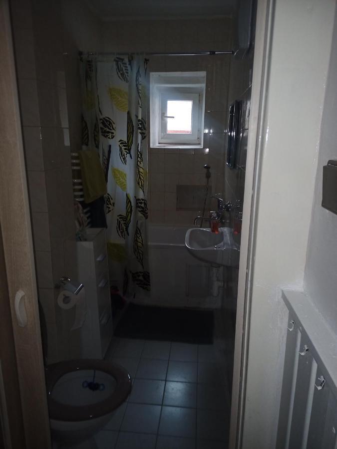 Na Cervene Louce Apartman Cheb Leilighet Eksteriør bilde